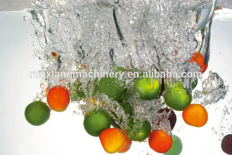 lettuce washing equipment lettuce washing equipment