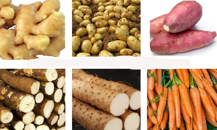 carrot peeler machine carrot peeler machine