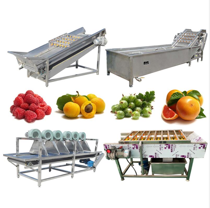 frozen vegetable production line frozen vegetable production line