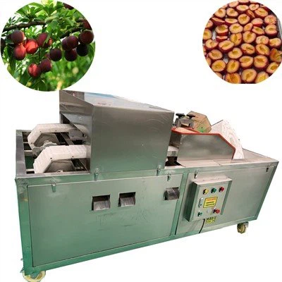 Slyvų kauliukų formavimo mašina