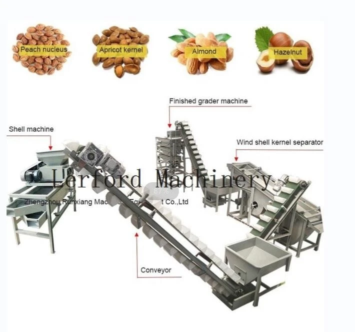 Cashew Kernel Grading Machine