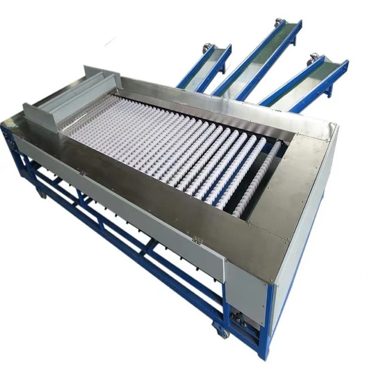 Plum Sorting Machines